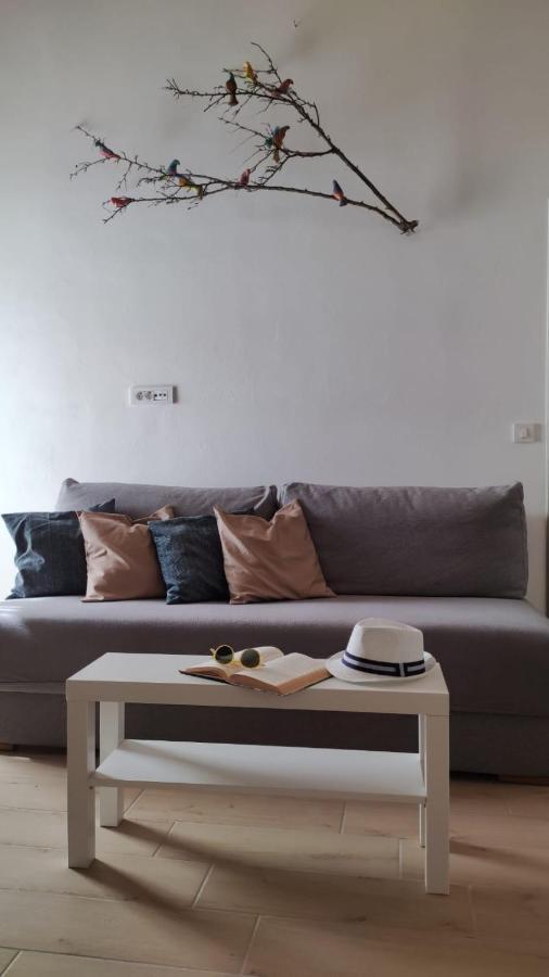 Apartman Marinac Roč Eksteriør billede